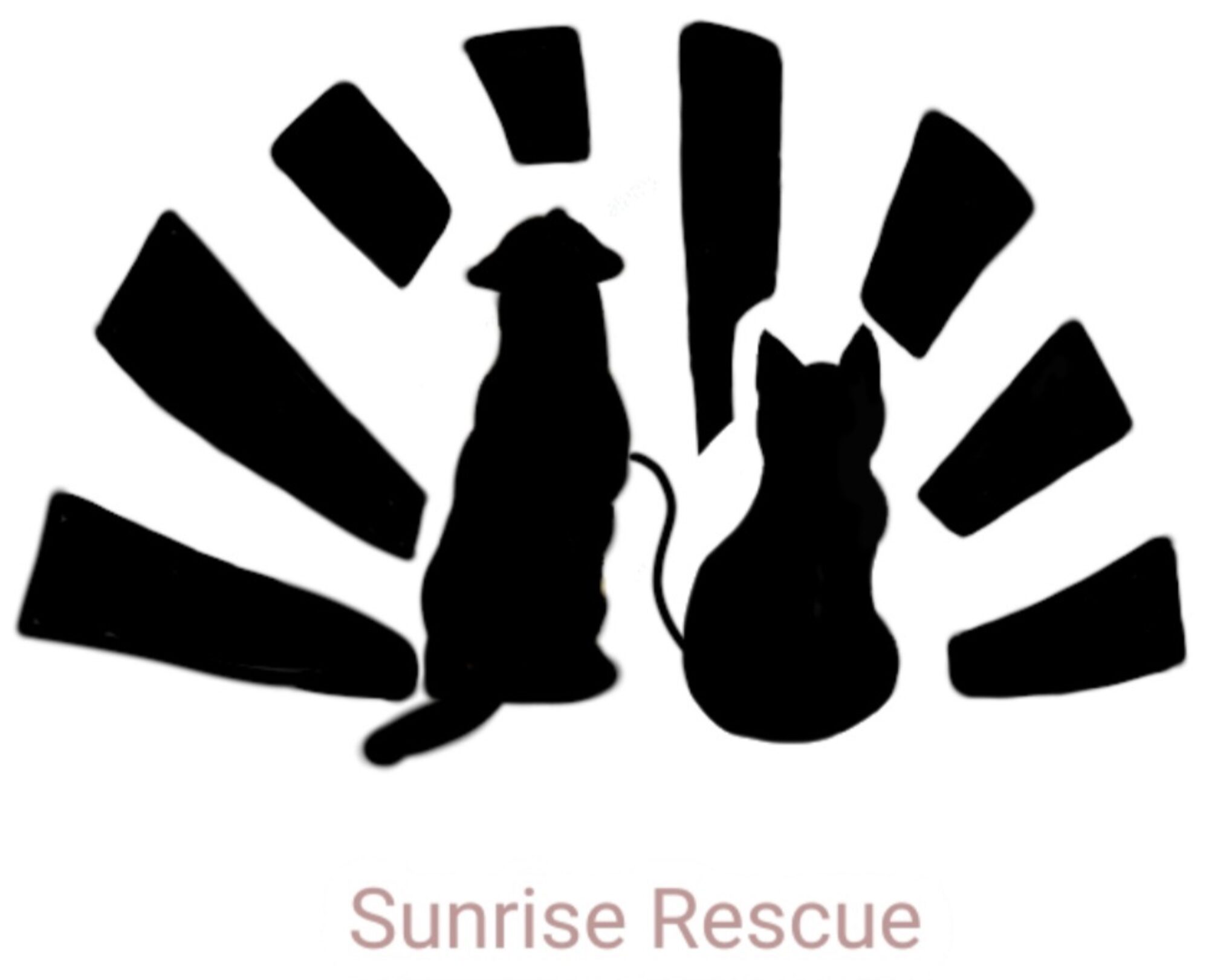 Sunrise Rescue